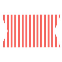 Vertical Stripes Waistband Front
