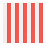 Vertical Stripes - White and Pastel Red Medium Glasses Cloth (2 Sides)