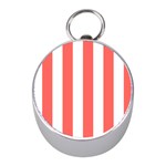 Vertical Stripes - White and Pastel Red Silver Compass (Mini)