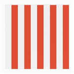 Vertical Stripes - White and Tomato Red Medium Glasses Cloth (2 Sides)