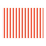 Vertical Stripes - White and Tomato Red Double Sided Flano Blanket (Mini)