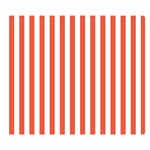 Vertical Stripes - White and Tomato Red Double Sided Flano Blanket (Small)
