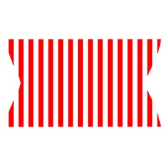 Vertical Stripes Waistband Front