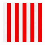 Vertical Stripes - White and Red Medium Glasses Cloth