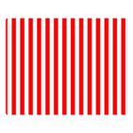 Vertical Stripes - White and Red Double Sided Flano Blanket (Large)