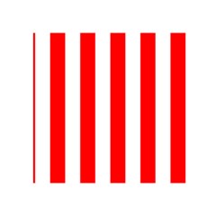 Vertical Stripes Front Inside
