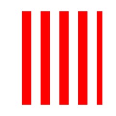 Vertical Stripes Front Inside