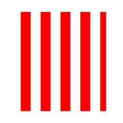 Vertical Stripes Back Inside