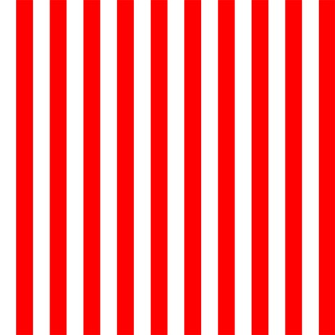 Vertical Stripes 12 x12  Scrapbook Page - 1