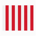 Vertical Stripes - White and Alizarin Red Small Glasses Cloth (2 Sides)