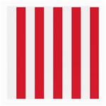 Vertical Stripes - White and Alizarin Red Medium Glasses Cloth (2 Sides)