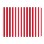 Vertical Stripes - White and Alizarin Red Double Sided Flano Blanket (Mini)