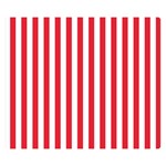 Vertical Stripes - White and Alizarin Red Double Sided Flano Blanket (Small)