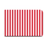 Vertical Stripes - White and Alizarin Red Small Doormat