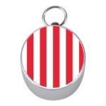 Vertical Stripes - White and Alizarin Red Silver Compass (Mini)