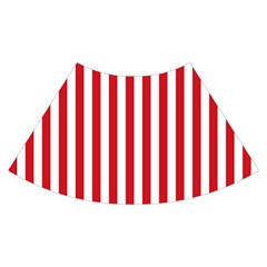 Vertical Stripes Skirt Front