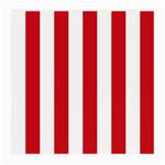 Vertical Stripes - White and Fire Engine Red Medium Glasses Cloth (2 Sides)