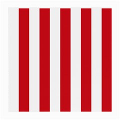Vertical Stripes Back