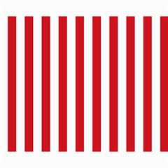 Vertical Stripes 10 x8  Print - 2