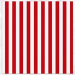 Vertical Stripes - White and Fire Engine Red Canvas 12  x 12 