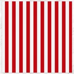 Vertical Stripes - White and Fire Engine Red Canvas 20  x 20 
