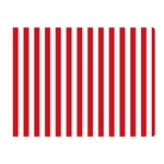 Vertical Stripes - White and Fire Engine Red Double Sided Flano Blanket (Mini)