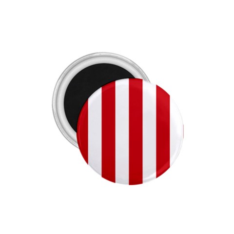 Vertical Stripes Front