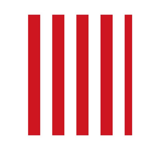 Vertical Stripes Front Inside