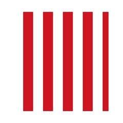 Vertical Stripes Front Inside