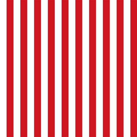 Vertical Stripes 12 x12  Scrapbook Page - 1