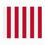 Vertical Stripes - White and Cardinal Red Small Glasses Cloth (2 Sides)
