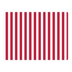 Vertical Stripes - White and Cardinal Red Double Sided Flano Blanket (Mini)
