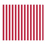 Vertical Stripes - White and Cardinal Red Double Sided Flano Blanket (Small)