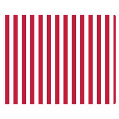 Vertical Stripes 60 x50  Blanket Back