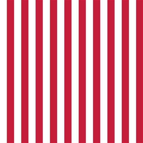 Vertical Stripes 12 x12  Scrapbook Page - 1