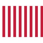 Vertical Stripes - White and Cardinal Red Birthday Cake 3D Greeting Card (7x5)