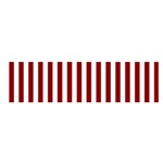 Vertical Stripes - White and Dark Red Satin Scarf (Oblong)