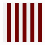 Vertical Stripes - White and Maroon Red Medium Glasses Cloth