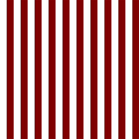Vertical Stripes 12 x12  Scrapbook Page - 1