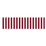Vertical Stripes - White and Burgundy Red Satin Scarf (Oblong)