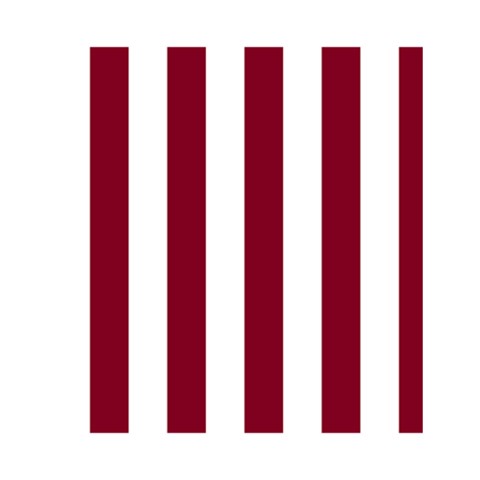 Vertical Stripes Back Cover