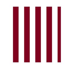 Vertical Stripes Back Cover