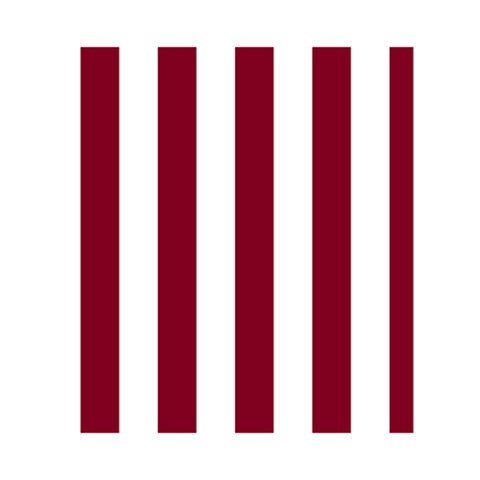 Vertical Stripes Back Inside