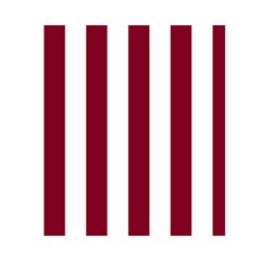 Vertical Stripes Back Inside