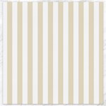 Vertical Stripes - White and Pearl Brown Canvas 12  x 12 