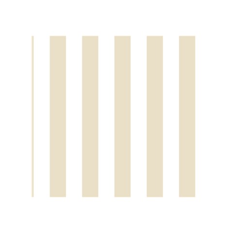 Vertical Stripes Front Cover