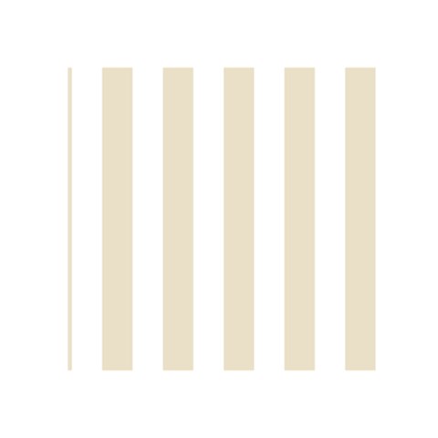 Vertical Stripes Front Inside