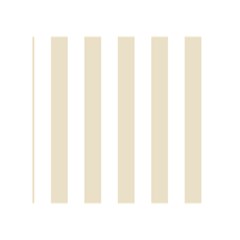 Vertical Stripes Back Inside