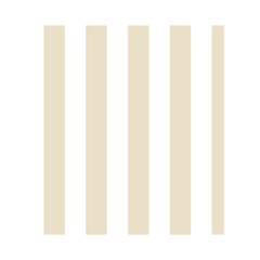 Vertical Stripes Front Cover