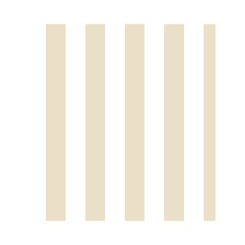 Vertical Stripes Front Inside